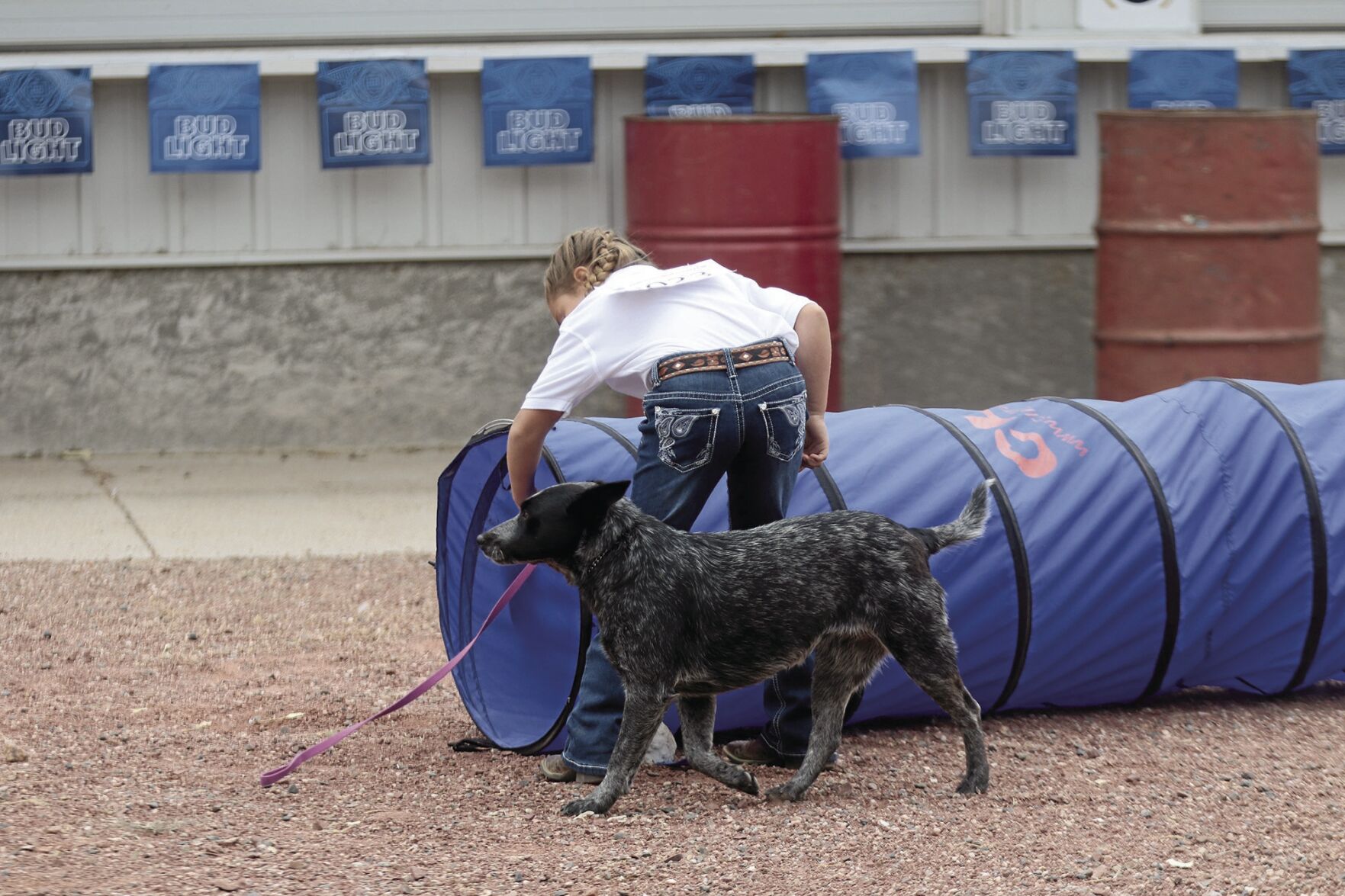PHOTOS: Scotts Bluff County Fair Dog Show 2020